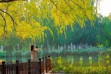 麻豆色多多番茄香蕉草莓视频-探索多彩的数字世界，网络安全与内容的合规性