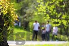 糖心app免费下载ios-如梦如幻，探索糖心APP的魅力与iOS平台免费下载体验